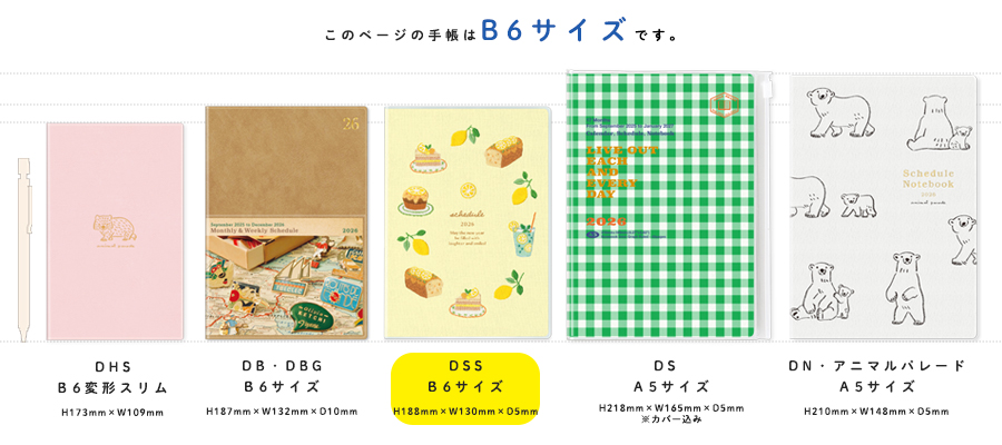 DSS_2026年度9月始まり